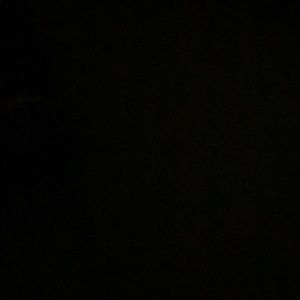 Meet your Posher, Preston